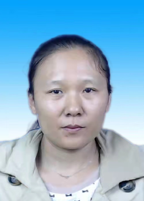 何莉敏